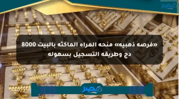 «فرصة ذهبية» منحة المرأة الماكثة بالبيت 8000 دج وطريقة التسجيل بسهولة